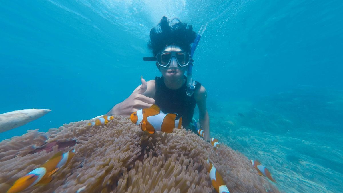 Peringatan Hari Snorkeling Sedunia 30 Juli, Ketahui Tujuannya