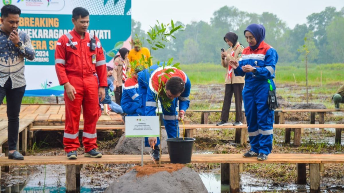 Pertama di Indonesia, Pemprov Sumsel & Kilang Pertamina Plaju Bangun Taman Rawa di Kawasan Jakabaring