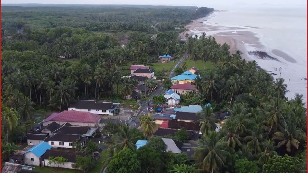 Usaha Pelestarian Terumbu Karang di Perairan Kalimantan Selatan, Libatkan Anak Muda dan Warga Lokal