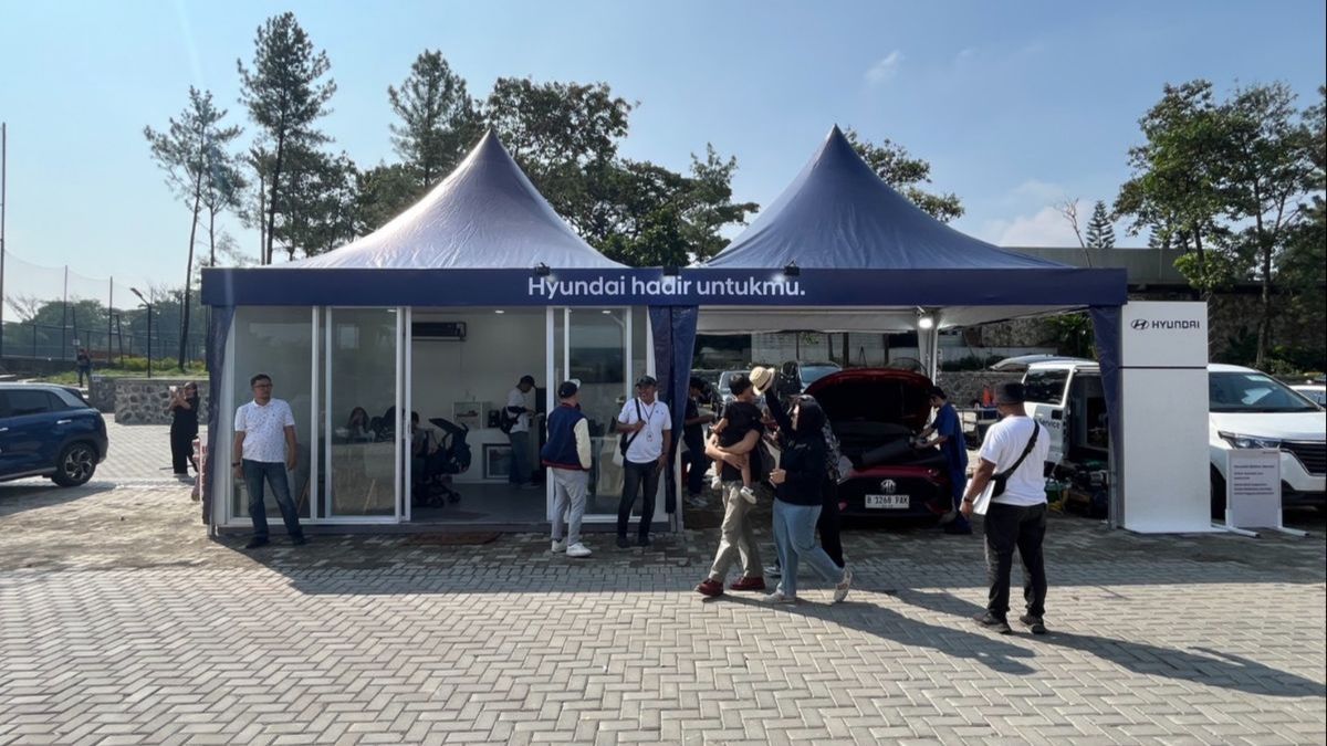 Bos Hyundai Ramal Indonesia Jadi Raja Industri Kendaraan Listrik