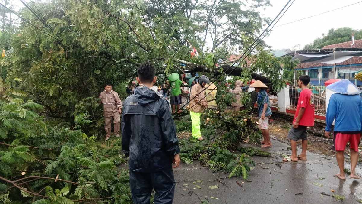 Hujan Deras di Jakarta, Belasan Pohon Tumbang Menimpa Kabel PLN hingga Bajaj