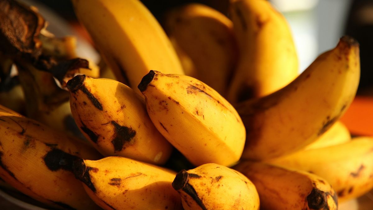 Makanan yang Tidak Boleh Dikonsumsi Bersamaan dengan Pisang