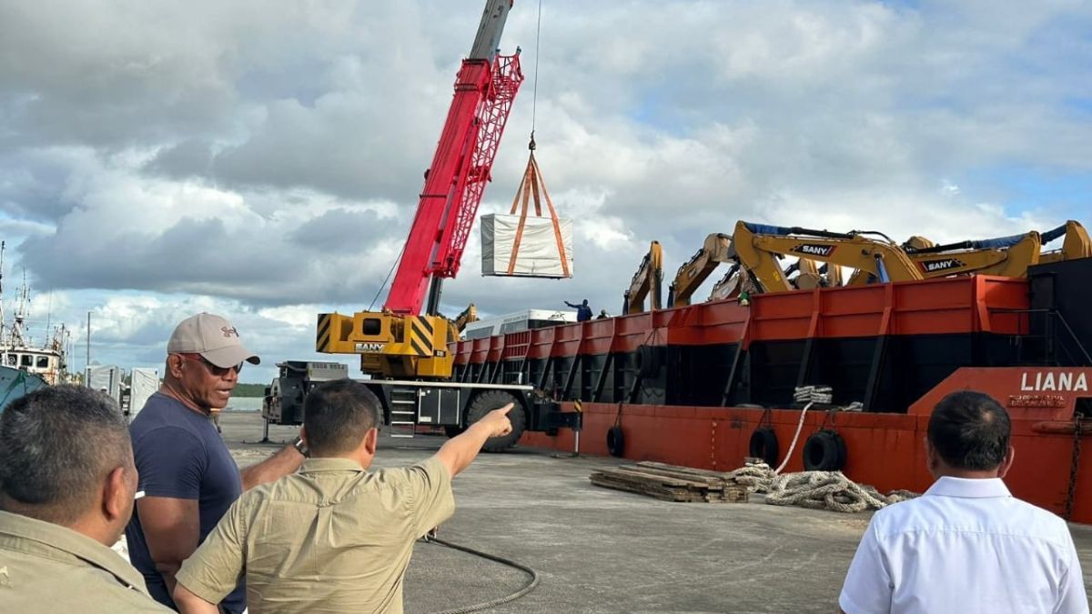 Ribuan Ekskavator Pesanan Haji Isam dari China Mulai Berdatangan, Begini Spesifikasi dan Penampakannya