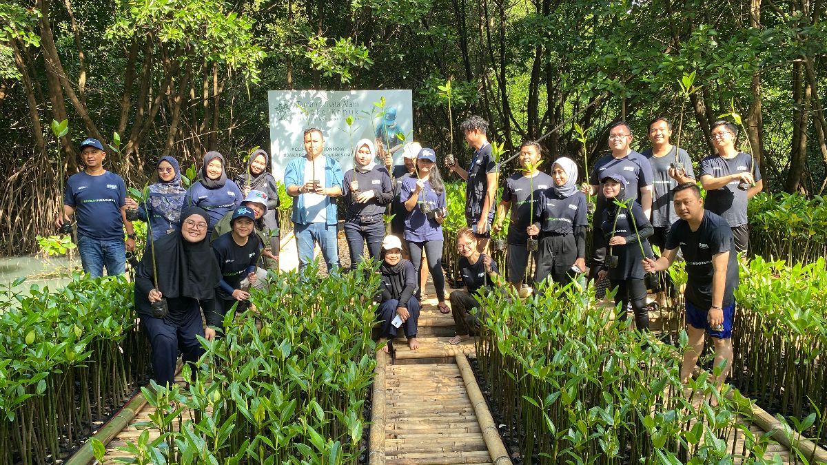 Hari Mangrove Sedunia, PNM Peduli Tanam 50.000 Mangrove untuk Tekan Bencana di Pesisir