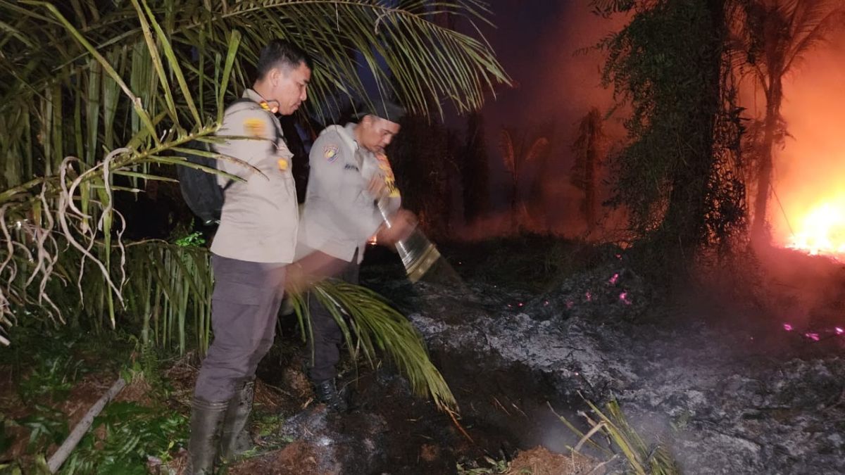 Cerita Tim Karhutla 4 Hari Bahu Membahu Padamkan Kebakaran Lahan