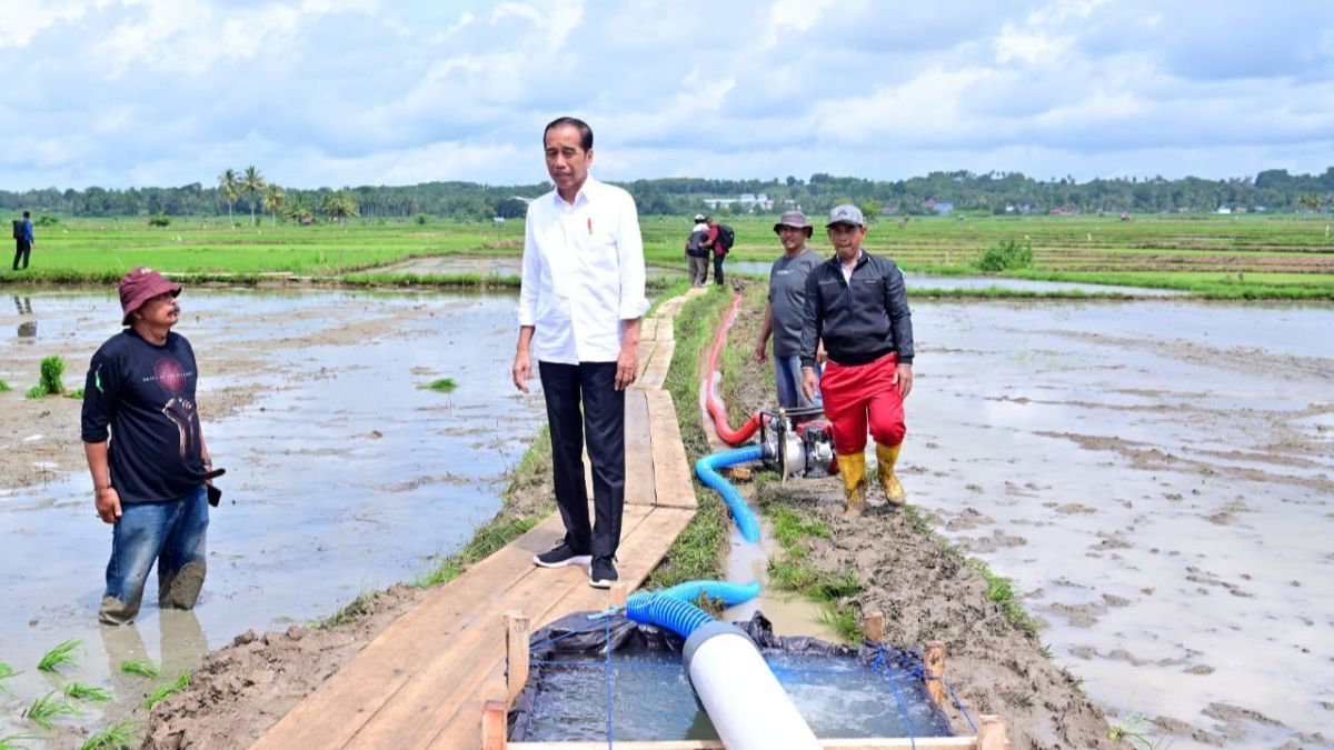 Jokowi ke Tengah Sawah Cek Pemberian Bantuan 300 Pompa Irigasi di Sulsel