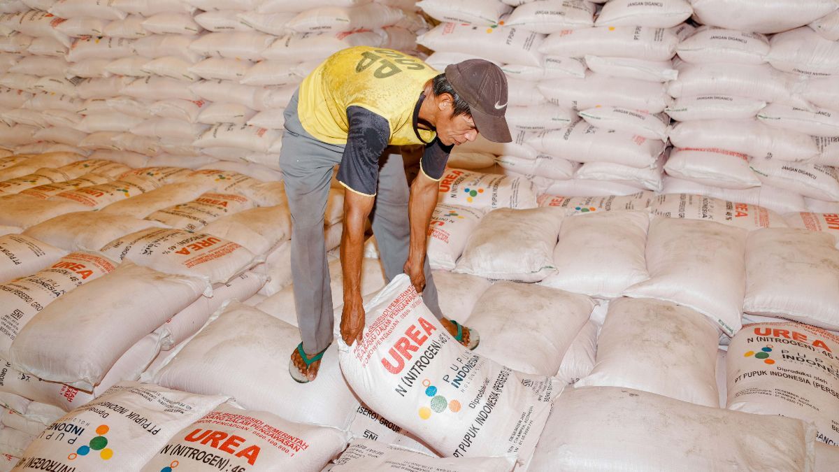 Stok Pupuk Subsidi di Bone Sulsel Capai 4.800 Ton, Ini Kriteria Petani Berhak Menerimanya