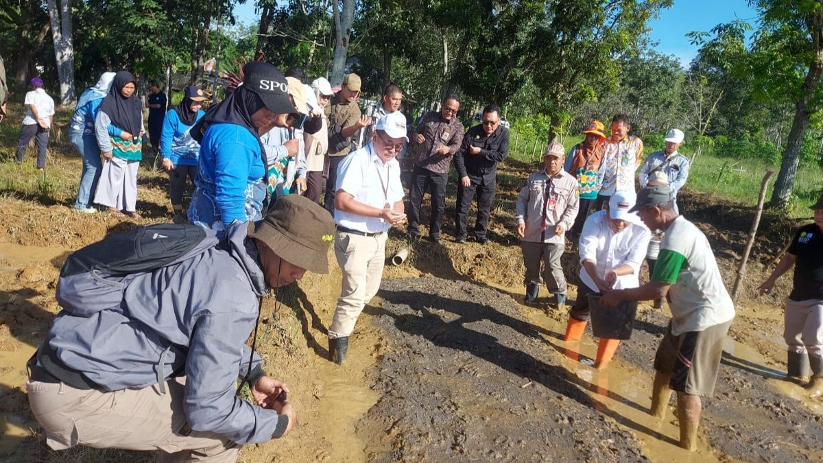 Lewat Cara Ini, Kementan Genjot Indeks Pertanaman Sawah di Lahan Rawa