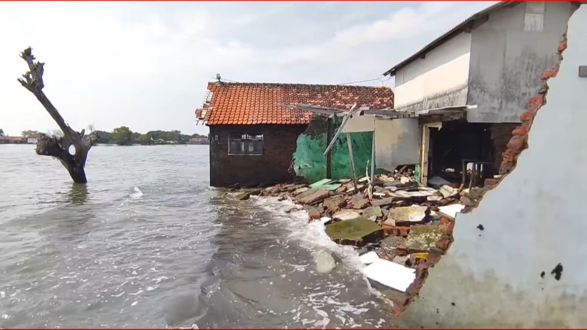 Dulunya Berjarak 1 Km dari Pantai, Desa di Pekalongan ini Kini Sudah Tenggelam oleh Air Laut