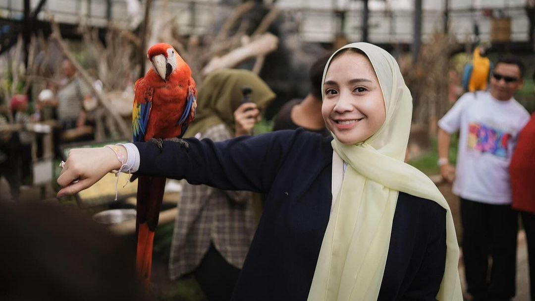 Artis Maju Pilkada, Punya Uang Banyak Tapi Elektabilitas Rendah