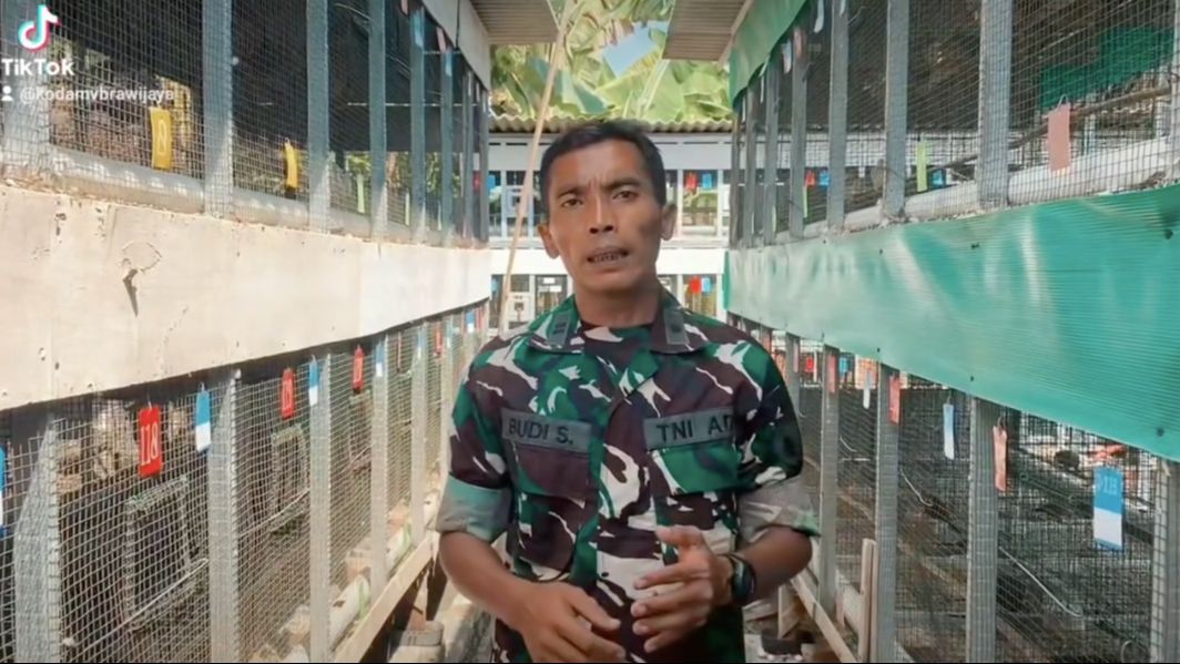 Kisah Lettu Budi Santoso, Prajurit TNI Sukses jadi Peternak Perkutut Penghasilan Perbulan Jutaan