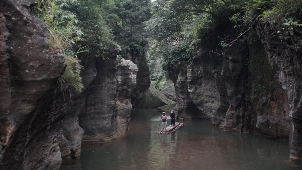 Jadi Inspirasi Nama Sungai Citarum, Intip Fakta Menarik Tanaman Tarum yang Kini Dilupakan