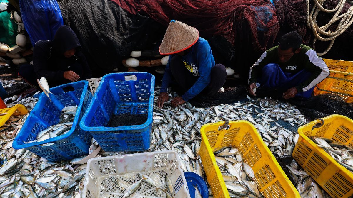 FOTO: Tahun 2025, Indonesia Targetkan Produksi Perikanan Capai 24,58 Juta Ton