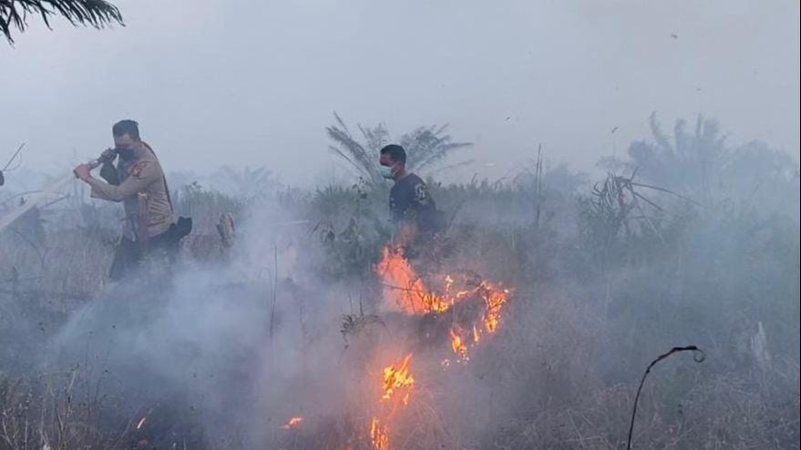 Sepanjang 2024, 1.500 Ha Lahan di Riau Terbakar, 7 Orang jadi Tersangka