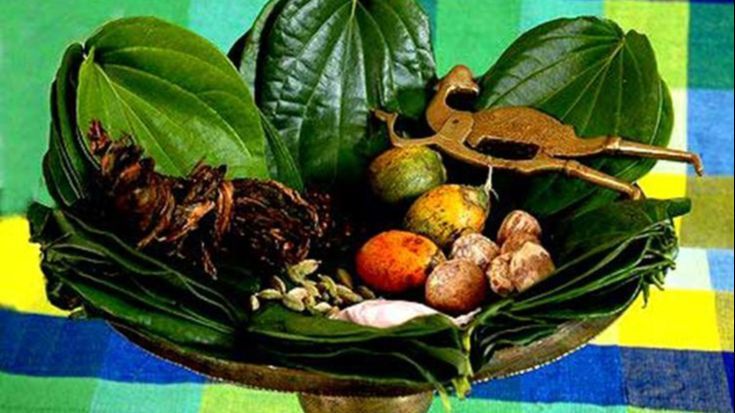 7 Resep Jamu Daun Sirih Khusus Kewanitaan yang Bisa untuk Keputihan dan Tanpa Bau