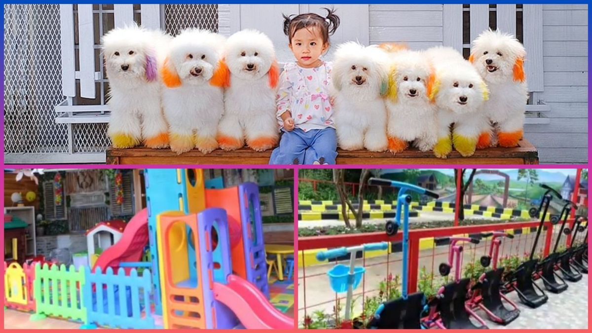 Mengunjungi Petshop Unik di Bandung, Ada Taman Hijau dan Playground Anak, Cocok untuk Liburan