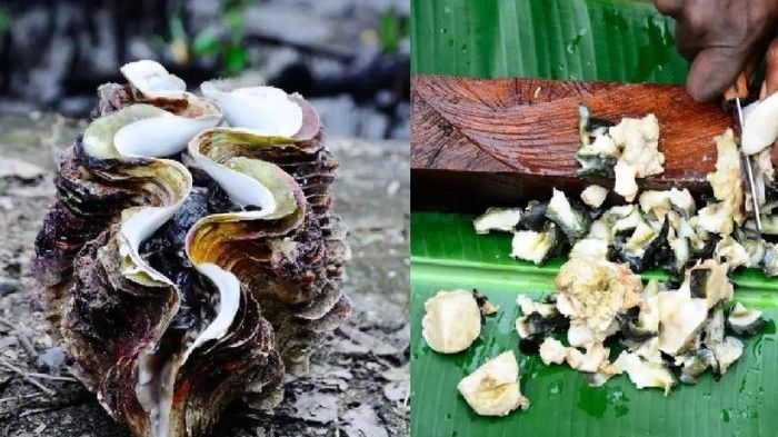 Mengunjungi Kaimana Papua Barat, Kota Senja Terindah yang Punya Kerang Lezat Mirip Sashimi