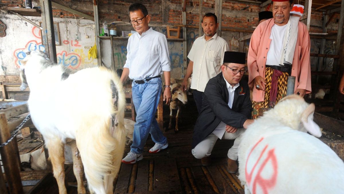 FOTO: Bakal Calon Gubernur Jakarta Ridwan Kamil Serap Aspirasi Pedagang Pasar Kambing di Tanah Abang