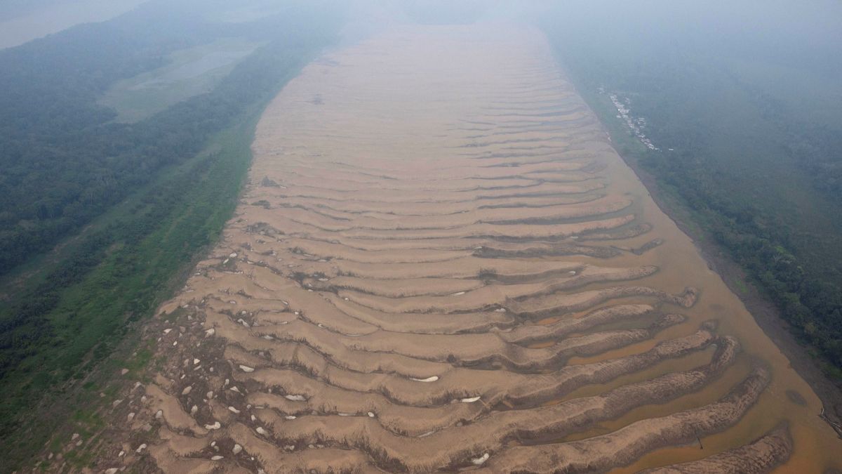 FOTO: Penampakan Air 'Menghilang' dari Anak Sungai Amazon Kala Kekeringan Parah Melanda