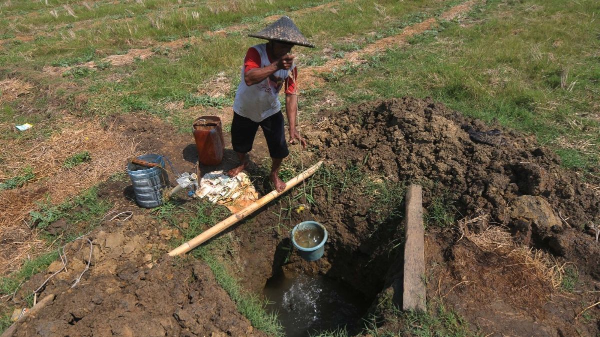 FOTO: Bekasi Mengering, Petani Menjerit Harus Gali Sumur Sedalam Dua Meter