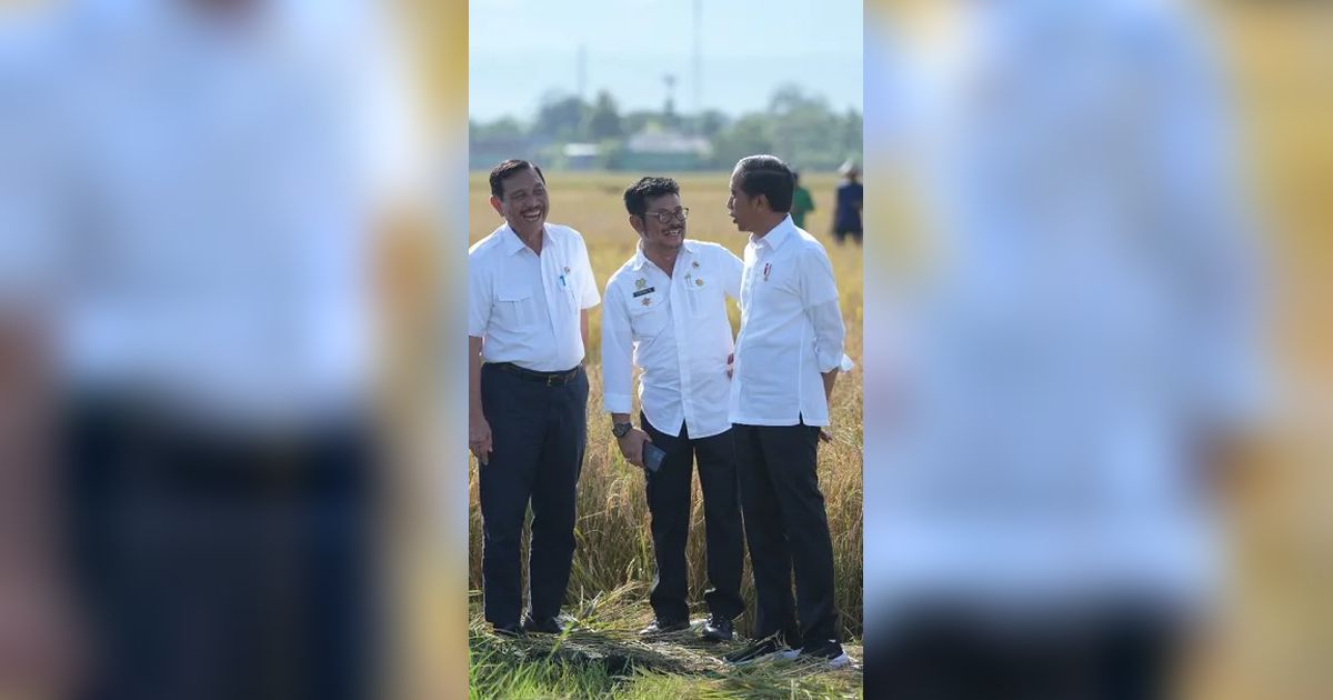 Senyum Jokowi dan Mentan, Sulsel Surplus Beras