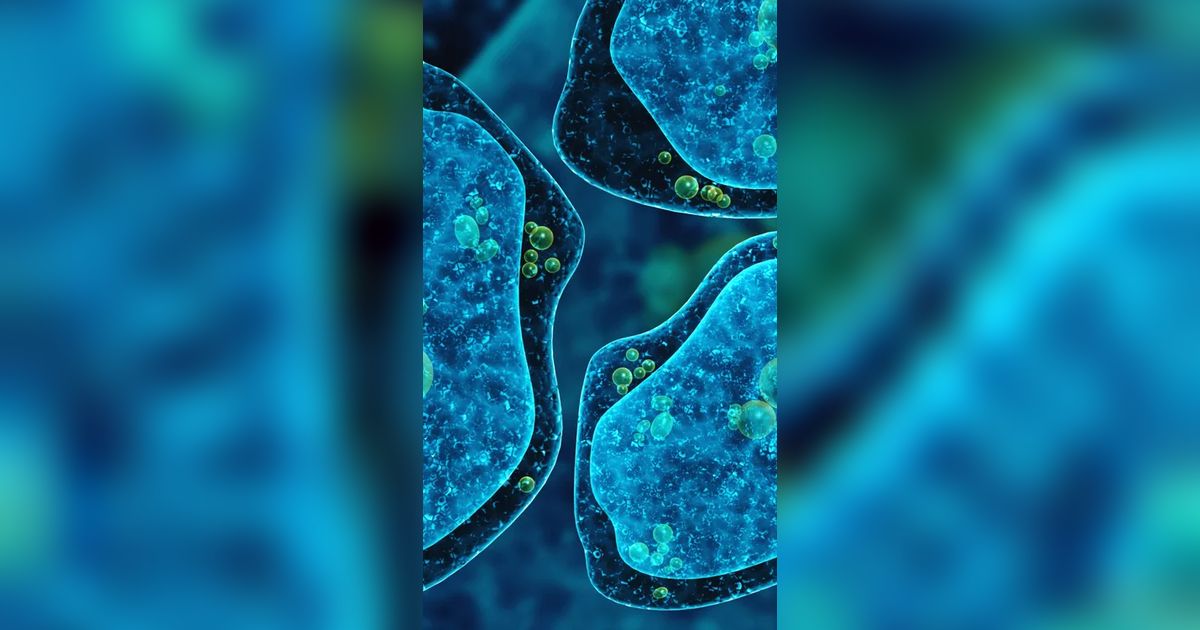 Mengenal Brain-Eating Amoeba, Mikroorganisme Pemakan Otak Manusia