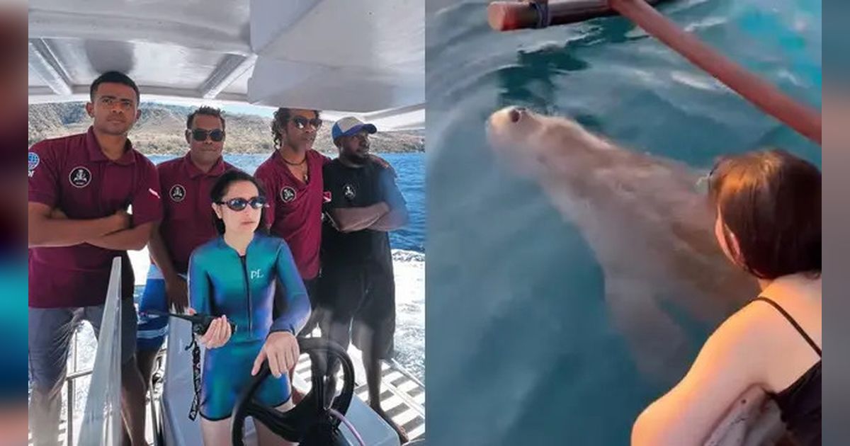 Momen Prilly Latuconsina saat Berlibur di Pulau Alor, Senang Melihat Ikan Duyung