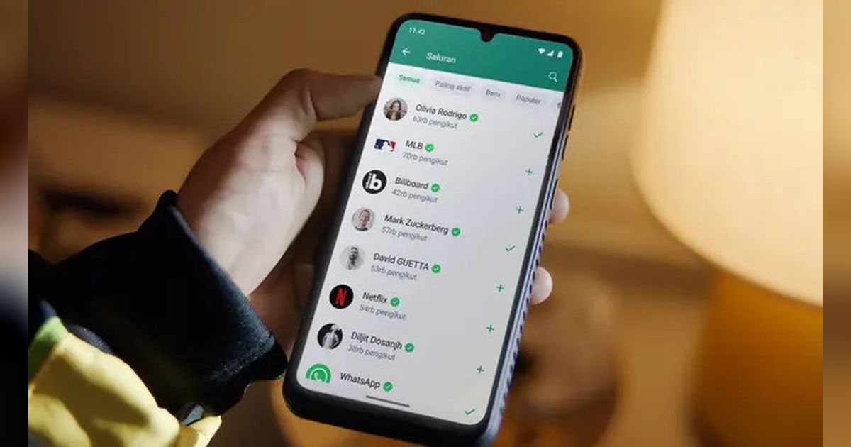 Ini Cara Mudah Menghapus Centang Biru di WA, Enggak Sulit Kok