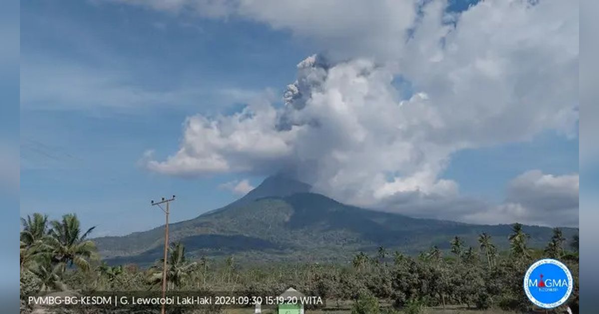 Gunung Lewotobi Laki-Laki Meletus Lagi, Semburan Abu Capai 1.000 Meter, Waspada Radius Berbahaya