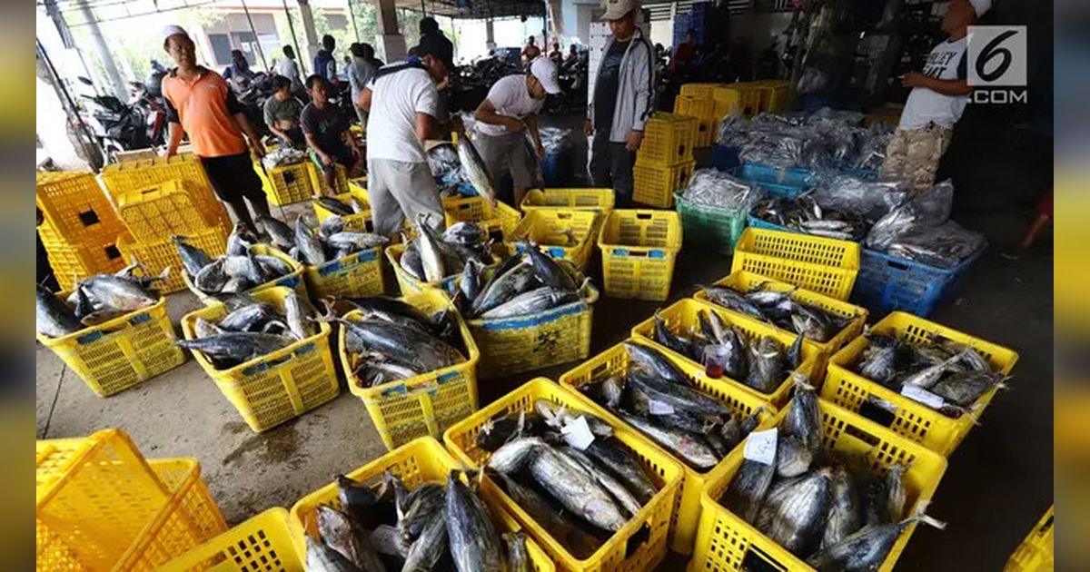 Perubahan Iklim Bikin Makanan Laut Berbahaya Untuk Dikonsumsi, Risiko Manusia Digigit Ular Makin Tinggi