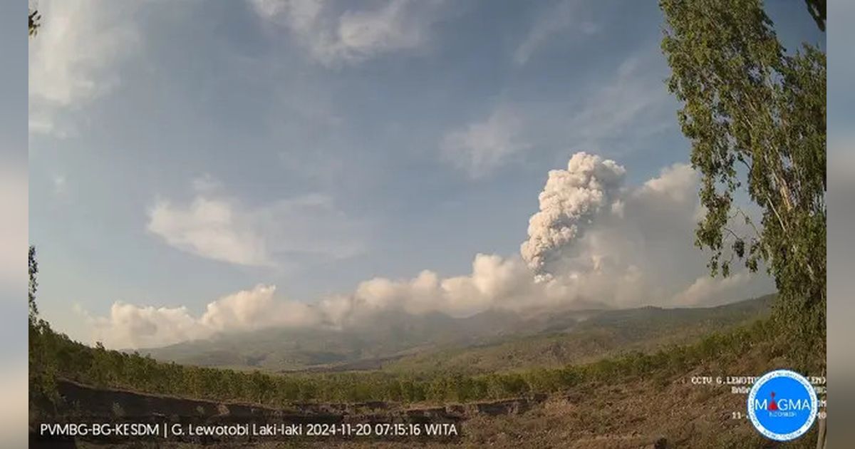 Gunung Lewotobi Laki-Laki Kembali Erupsi, Kolom Abu Mencapai 2.000 Meter