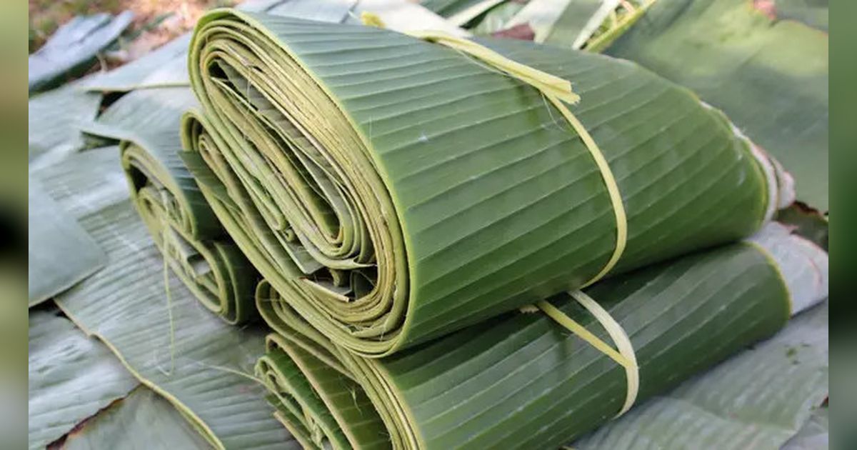 Tips Praktis Menyimpan Daun Pisang Agar Tidak Cepat Membusuk