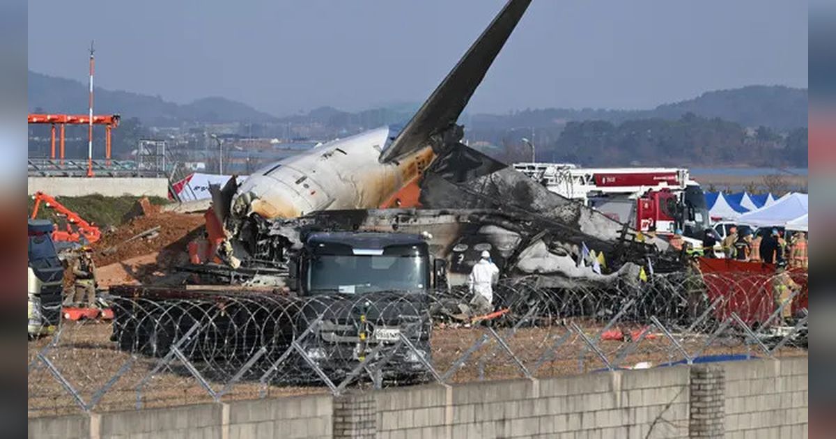 5 Insiden Kecelakaan Pesawat dalam Seminggu Terakhir, Termasuk Tragedi Jeju Air