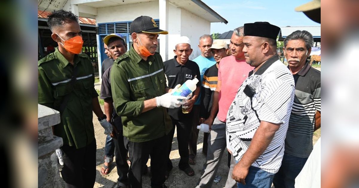 Aceh Besar Cegah PMK dengan Penyemprotan Disinfektan dan Sosialisasi