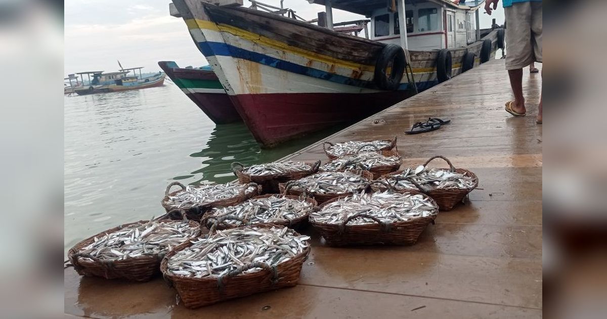 Produksi Ikan Lebak 2024 Capai 6,8 Ton, PAD Naik Rp1,7 Miliar
