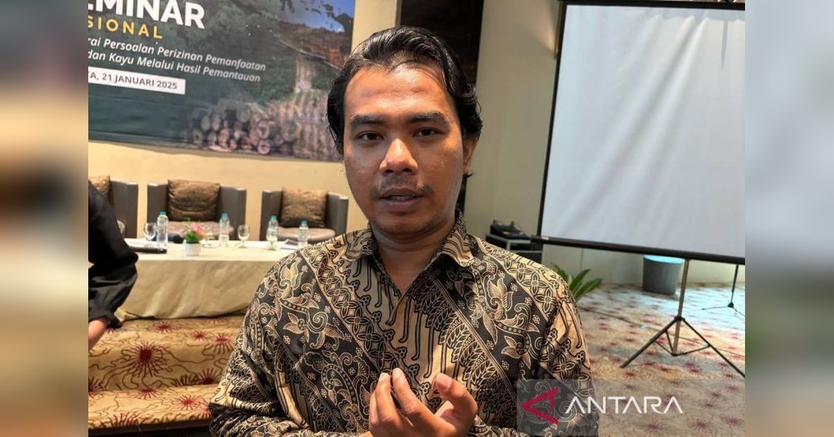 Pengawasan Hutan Riau Diperketat: IFM Fund Temukan Konversi Lahan di Habitat Akasia dan Eucalyptus