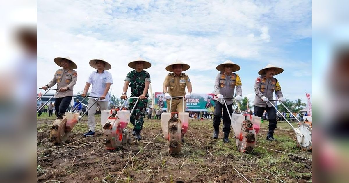 NTB Bidik Produksi Jagung 4 Juta Ton di 2025