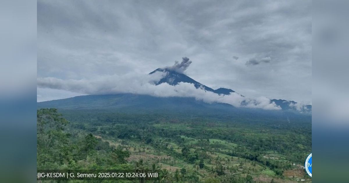 Semeru Erupsi: Letusan 800 Meter di Atas Puncak, Warga Diminta Waspada