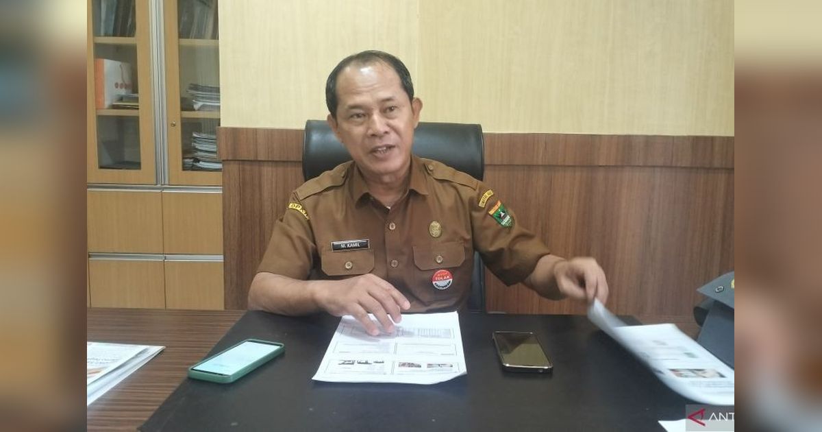 Daging Sapi Terpapar PMK Aman Dikonsumsi, Kata Dinas Peternakan Sumbar