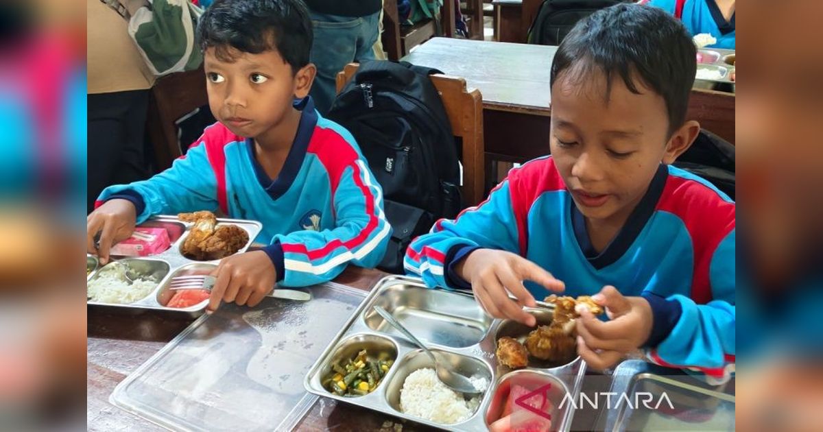 Celios Usul Program MBG Berdayakan Pengusaha Lokal