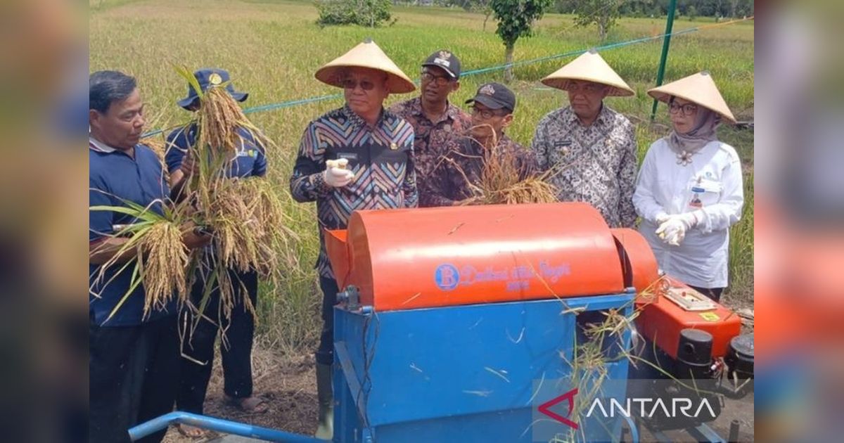 BI Dukung Produktivitas Pertanian Kalbar Lewat Program Strategis