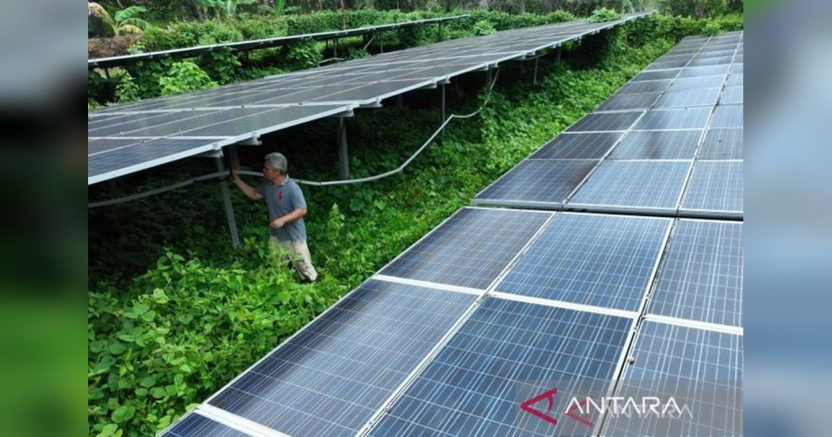 PLTS di Desa Lakarama, Muna, Rusak 5 Tahun: Warga Keluhkan Minimnya Perbaikan