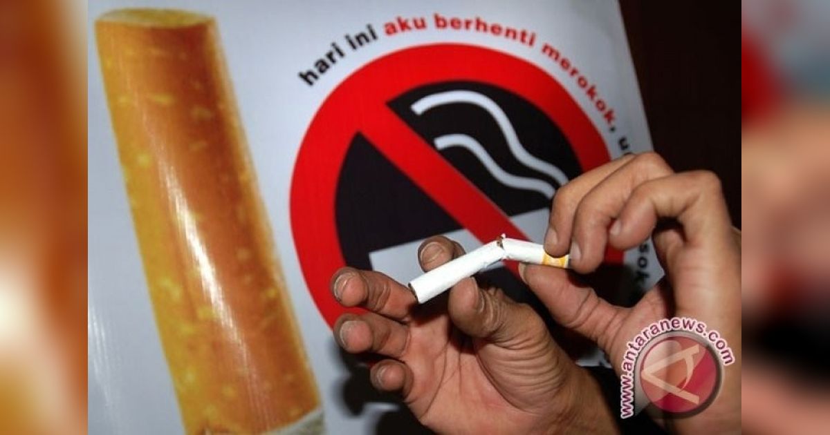 Pakar Dorong THR untuk Kurangi Risiko Merokok di Indonesia