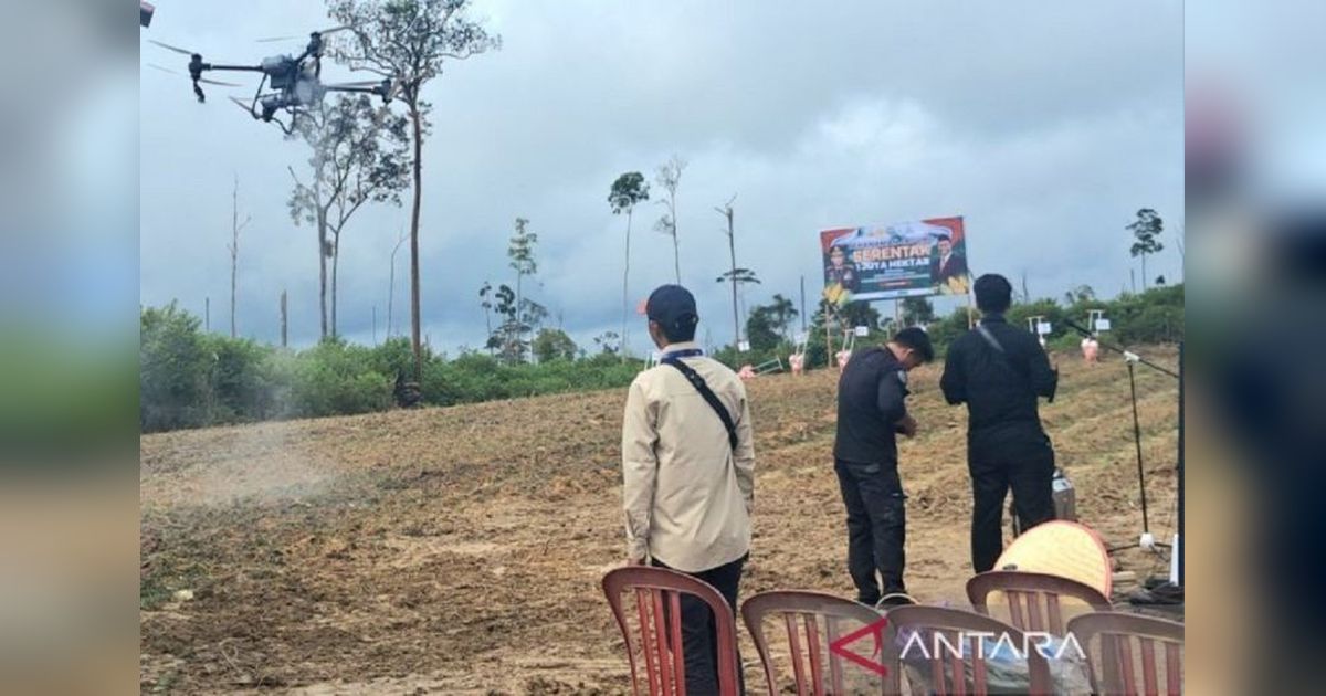 Drone Pertanian di Gunung Mas: Petani Kalteng Untung Besar!