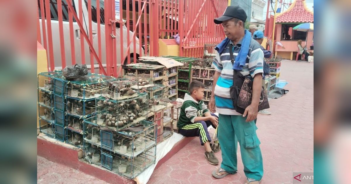 Omzet Puluhan Juta Pedagang Burung Pipit di Imlek Palembang