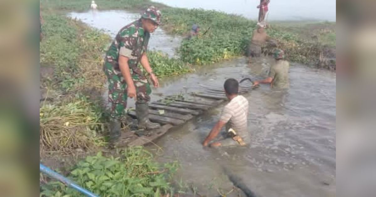 TNI dan Petani Polman Bersihkan Saluran Irigasi, Tingkatkan Produksi Padi