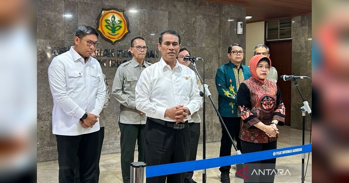 Produksi Padi Indonesia Naik 50 Persen di Awal 2025: Data BPS