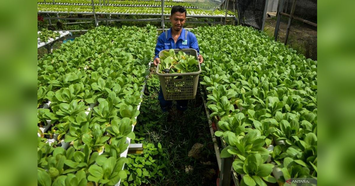 Pakar Nilai Efisiensi Anggaran Rp256 Triliun Harus Sasar Sektor Produktif