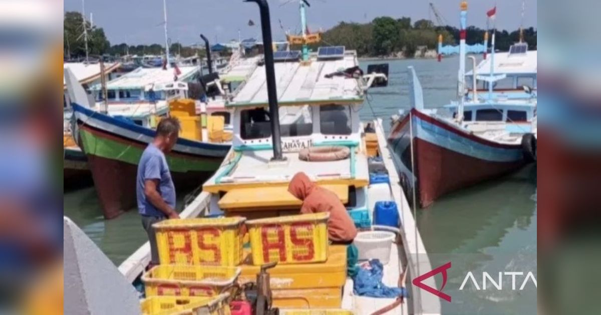 Produksi Ikan di PPN Sungailiat Tembus Rp92 Miliar Lebih di Tahun 2024