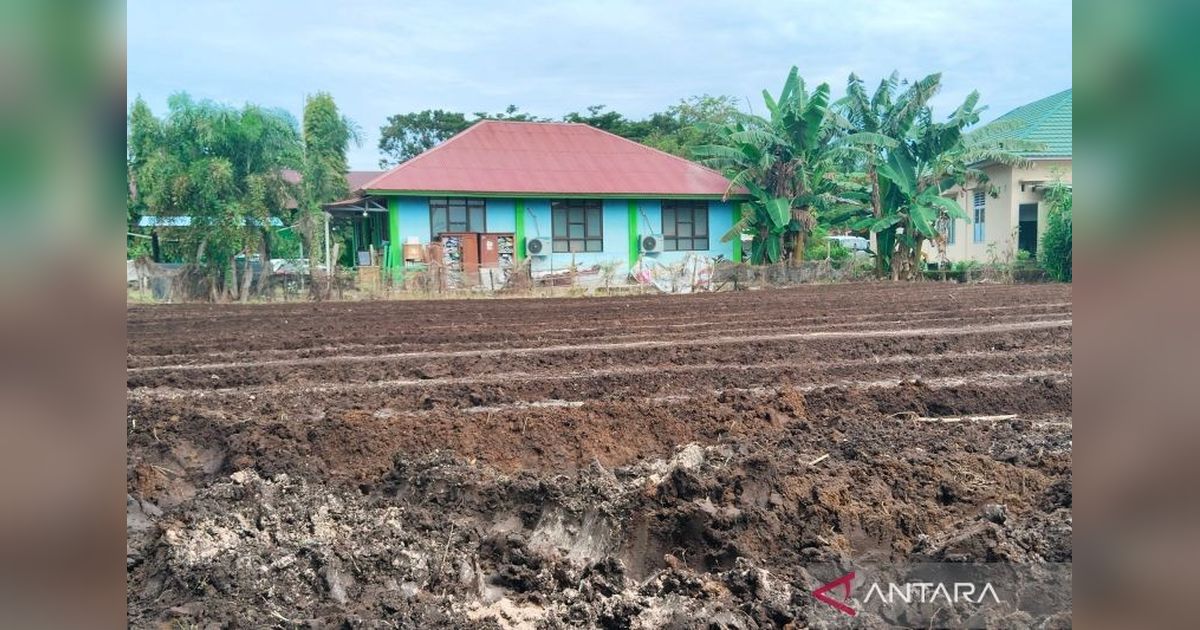Mukomuko Siap Tanam Padi Gogo 188 Hektare, Dukung Program Kementan